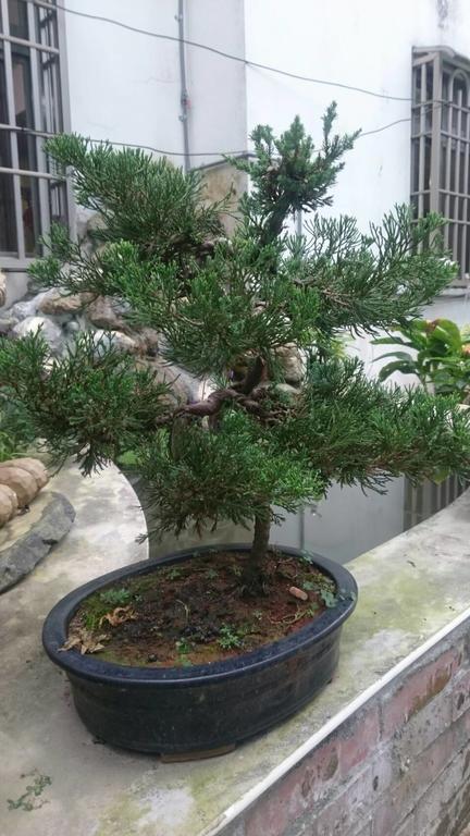 吾居吾宿 Zhixue Esterno foto