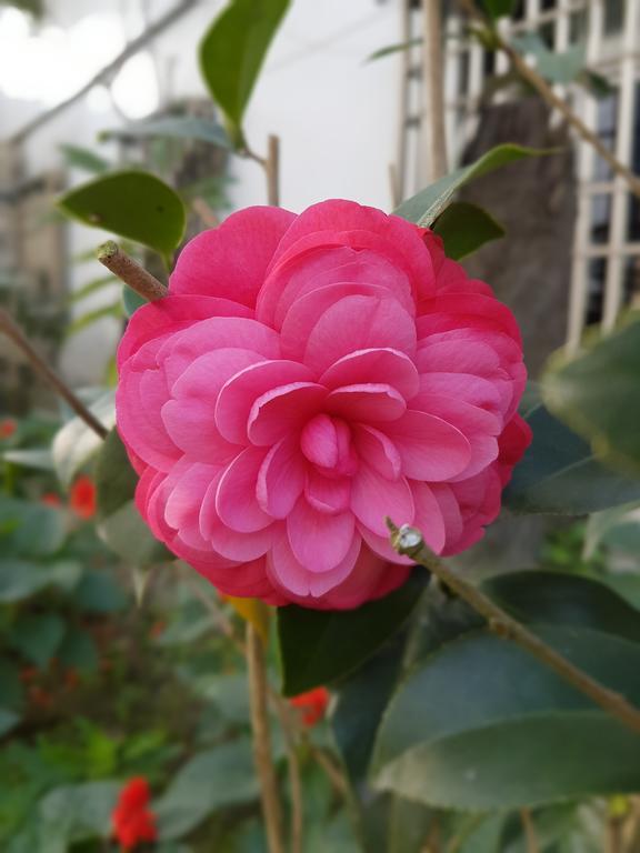 吾居吾宿 Zhixue Esterno foto